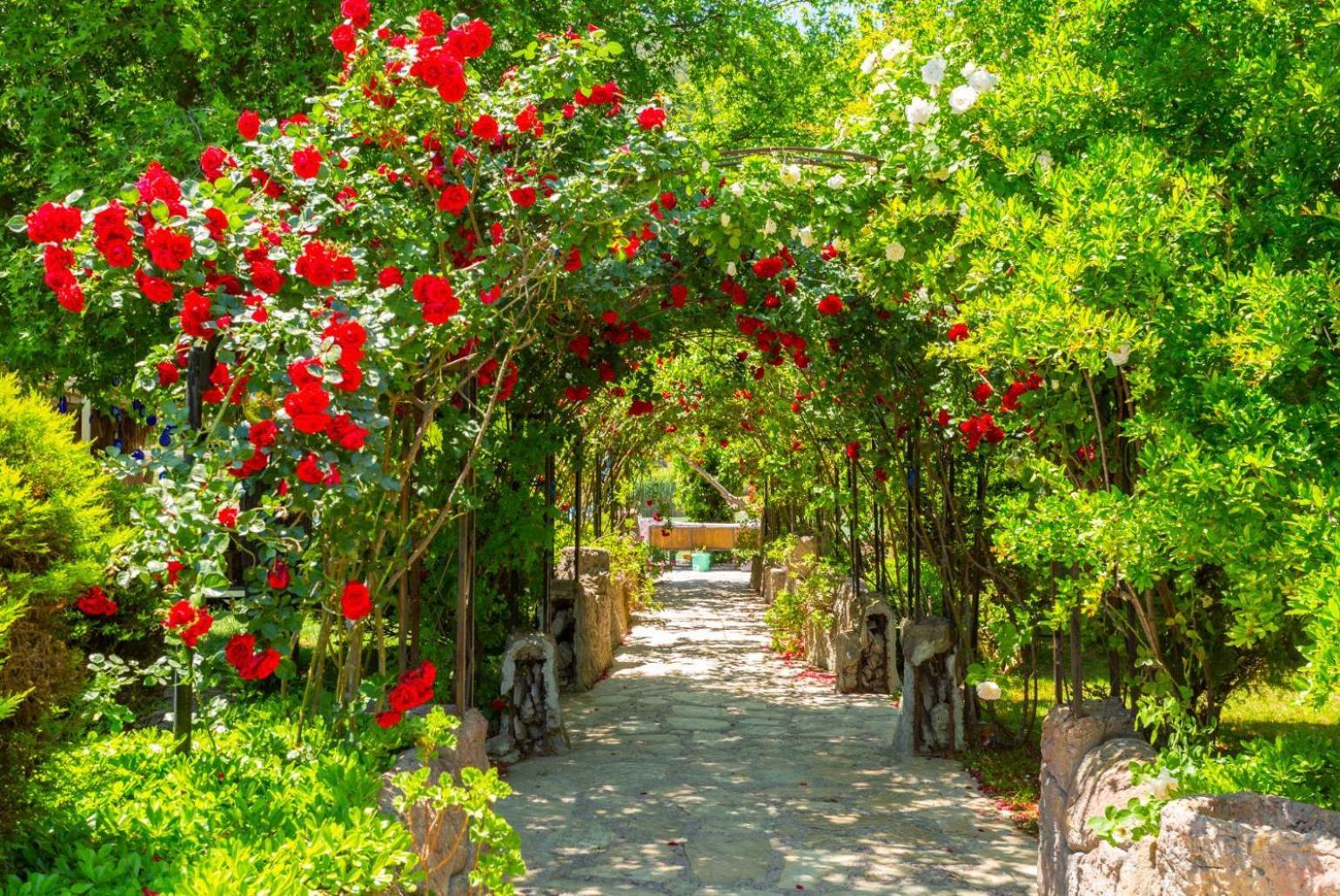 Villa Ayla Paradise Dalyan Exteriör bild